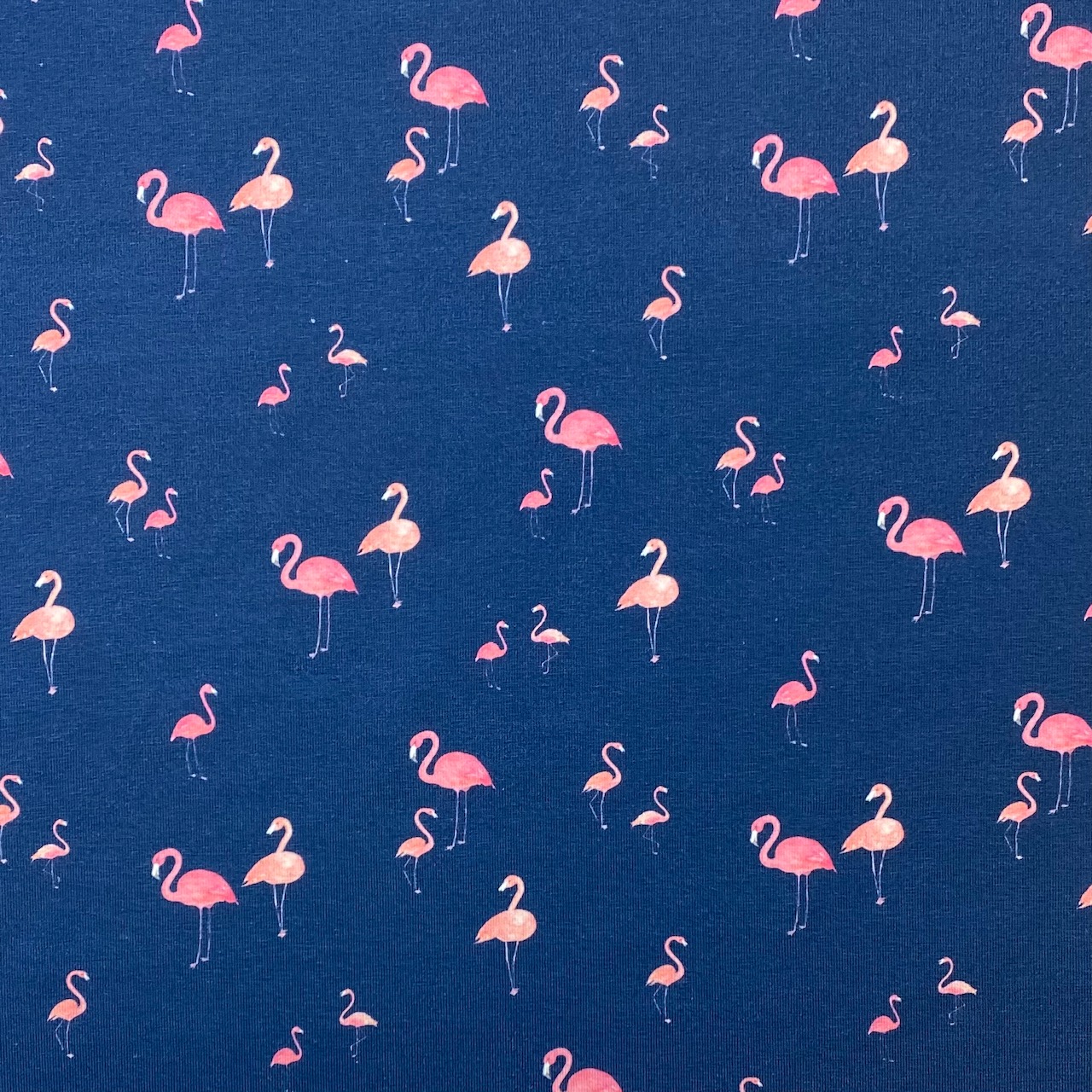 Baumwolljersey, Digital Druck, Flamingos, marine blau.  Art. 4838/8